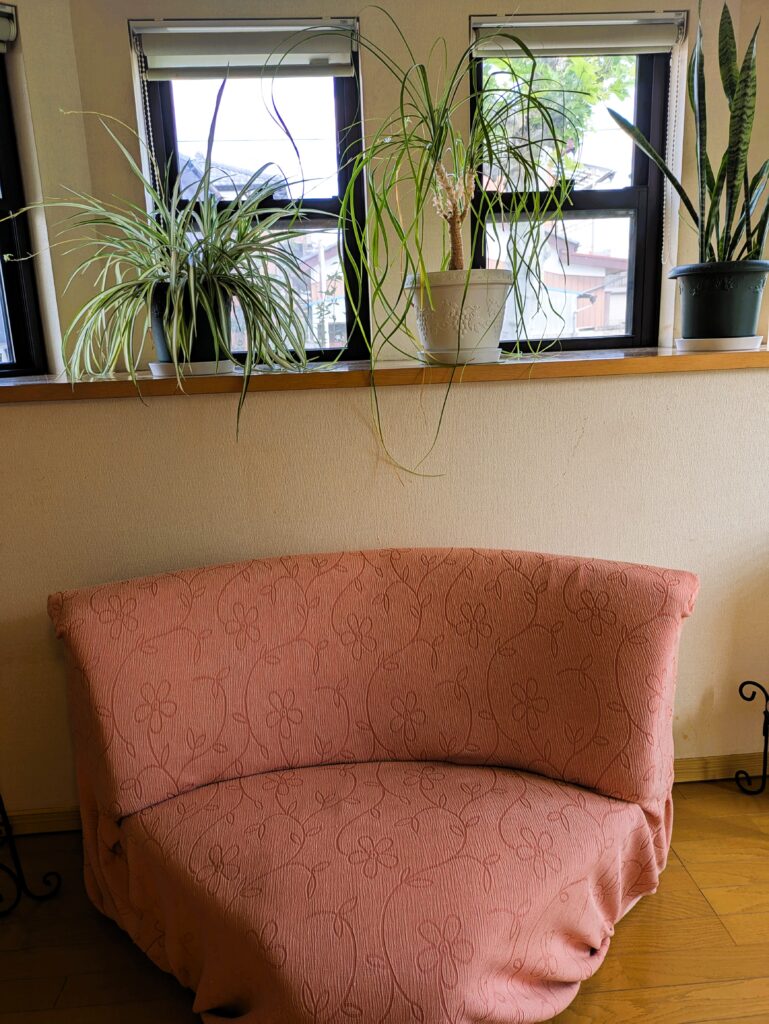 ソファのある待合室