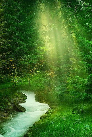 気に満たされた森。